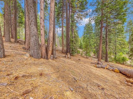 608 E Burnt Cedar Road, Lake Almanor, CA 96137 Photo