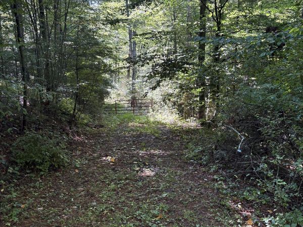 Morris Branch Rd, Meadow Bridge, WV 25976