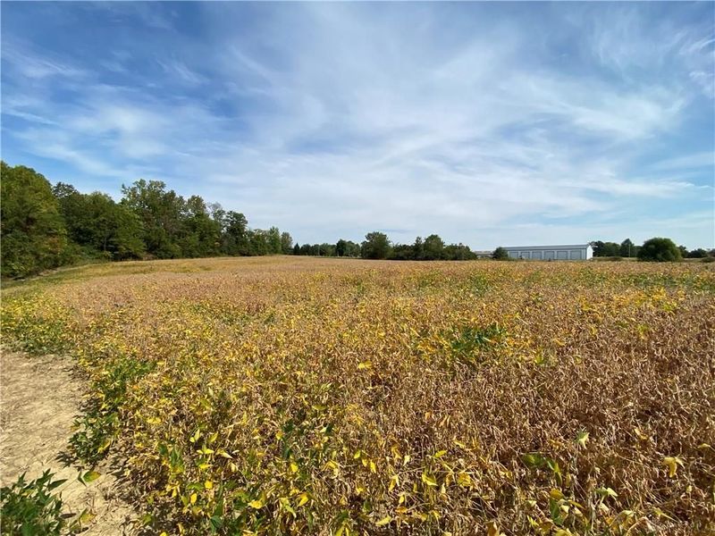 00 Township Line Road, Waynesville, OH 45068 Photo 3