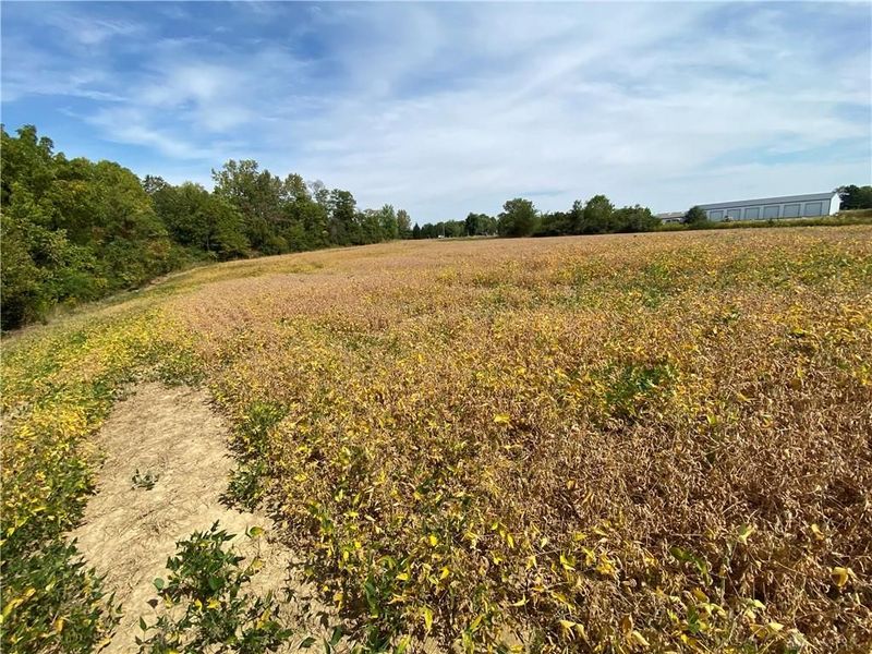 00 Township Line Road, Waynesville, OH 45068 Photo 4