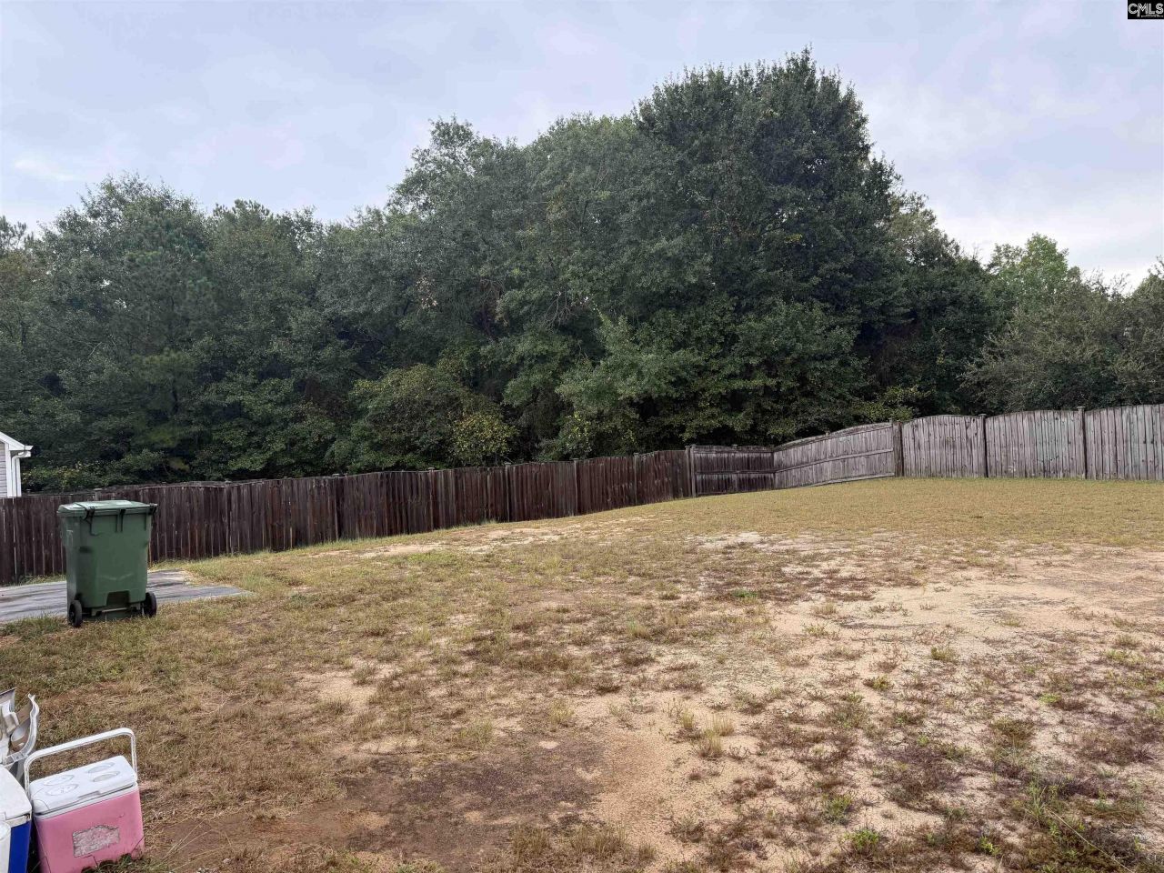 245 Cogburn Road Photo 10