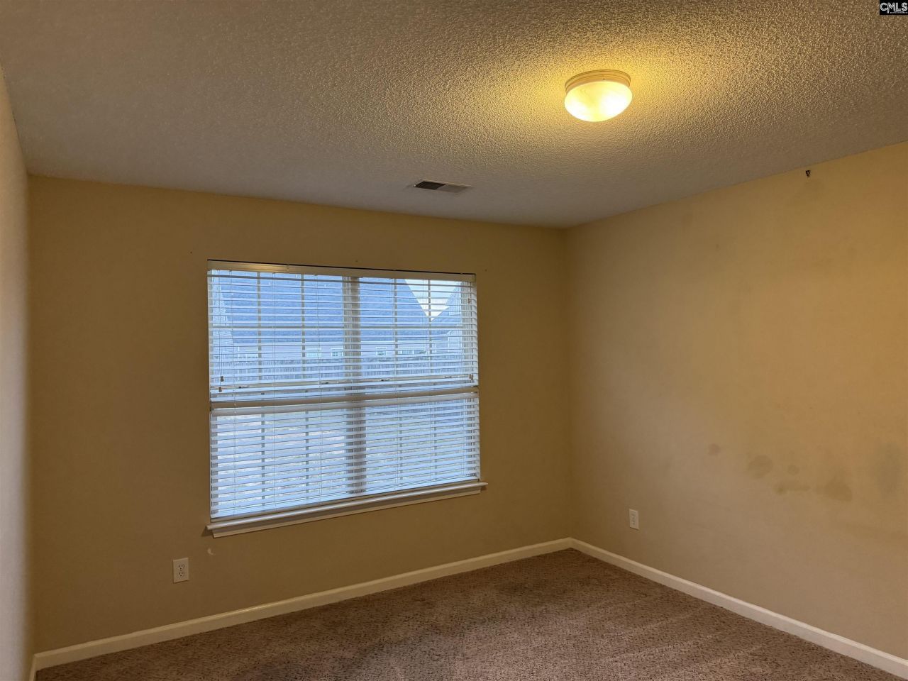 245 Cogburn Road Photo 8