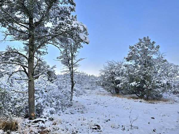 4H Ike Clark Parkway, Unit 2, Young, AZ 85554