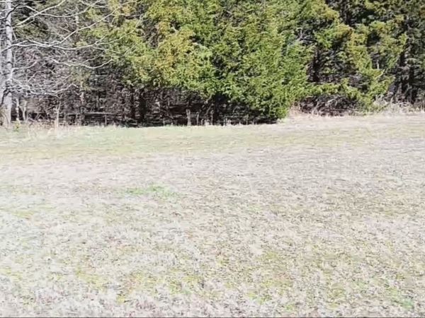 1285 Golf Dr, Saulsbury, TN 38067