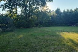 00 Davis Terrace photo 4