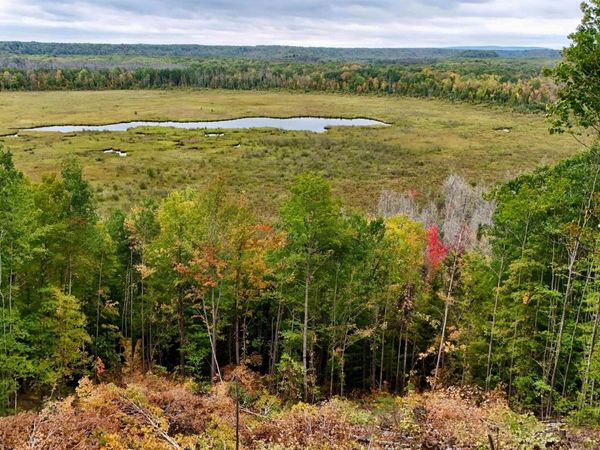 TBD 19 Norwich Road, Ontonagon Twp, MI 49953