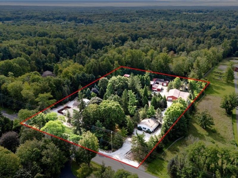 11679 Bell Road, Newbury, OH 44065 Photo 46