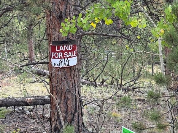 414 Hall Road, Bailey, CO 80421