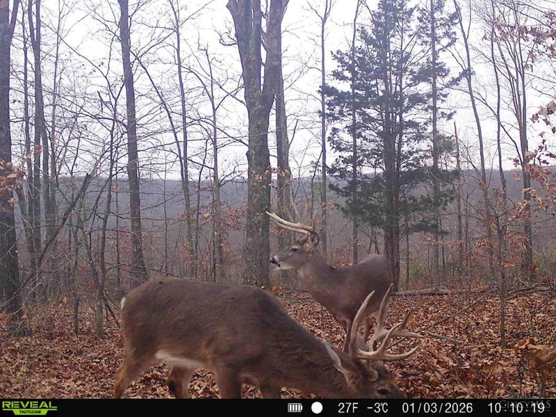 0 St Rt 348, Brushcreek Twp, OH 45657 Photo 10