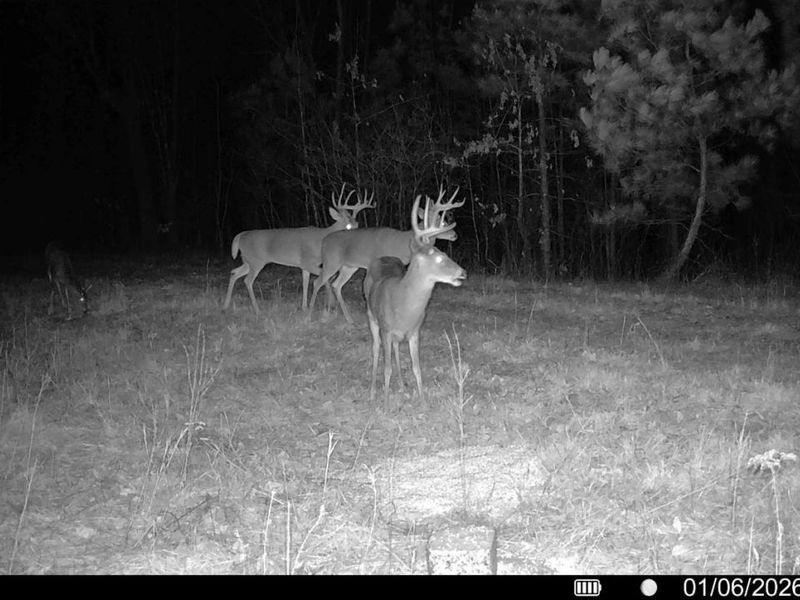 0 St Rt 348, Brushcreek Twp, OH 45657 Photo 11