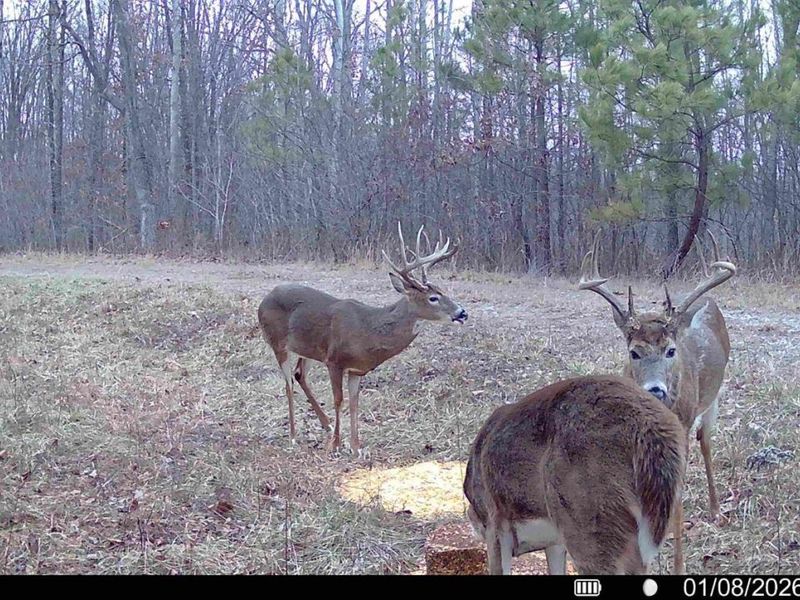 0 St Rt 348, Brushcreek Twp, OH 45657 Photo 12