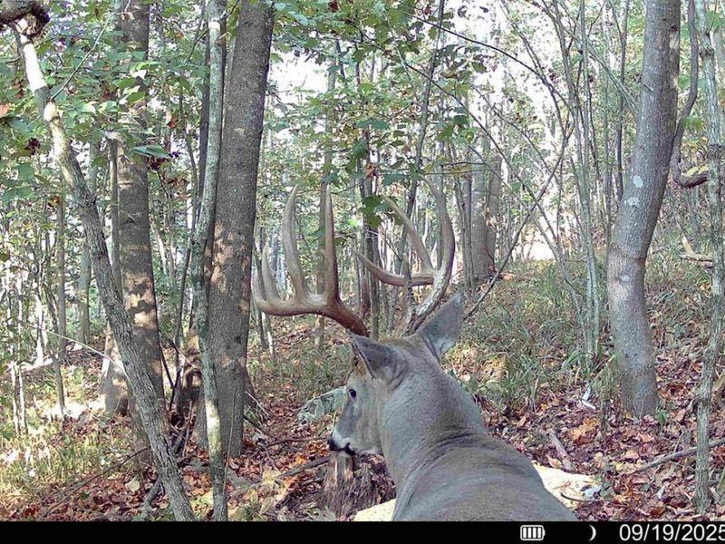 0 St Rt 348, Brushcreek Twp, OH 45657 Photo 14