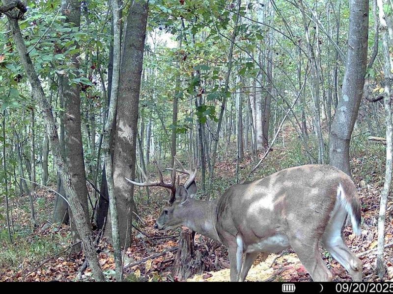 0 St Rt 348, Brushcreek Twp, OH 45657 Photo 15