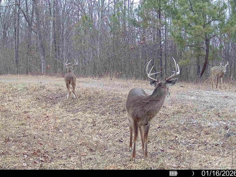 0 St Rt 348, Brushcreek Twp, OH 45657 Photo 16