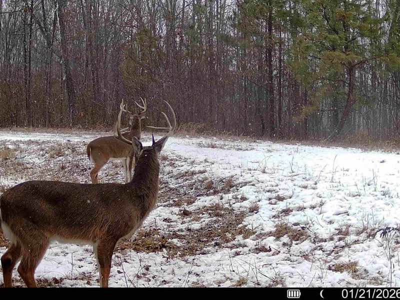 0 St Rt 348, Brushcreek Twp, OH 45657 Photo 17