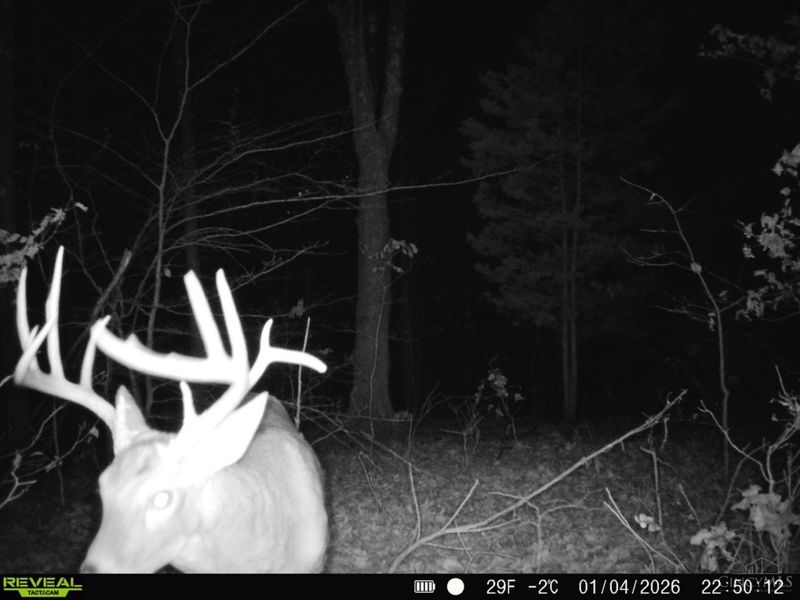 0 St Rt 348, Brushcreek Twp, OH 45657 Photo 18