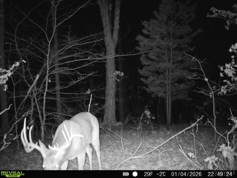 0 St Rt 348, Brushcreek Twp, OH 45657 Photo 19