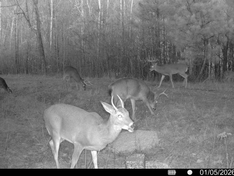 0 St Rt 348, Brushcreek Twp, OH 45657 Photo 20