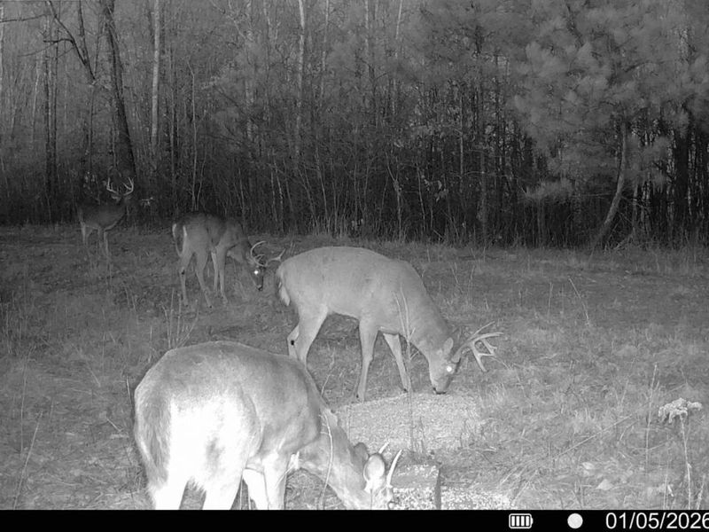 0 St Rt 348, Brushcreek Twp, OH 45657 Photo 21