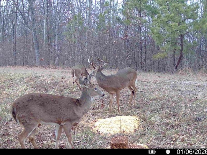 0 St Rt 348, Brushcreek Twp, OH 45657 Photo 22