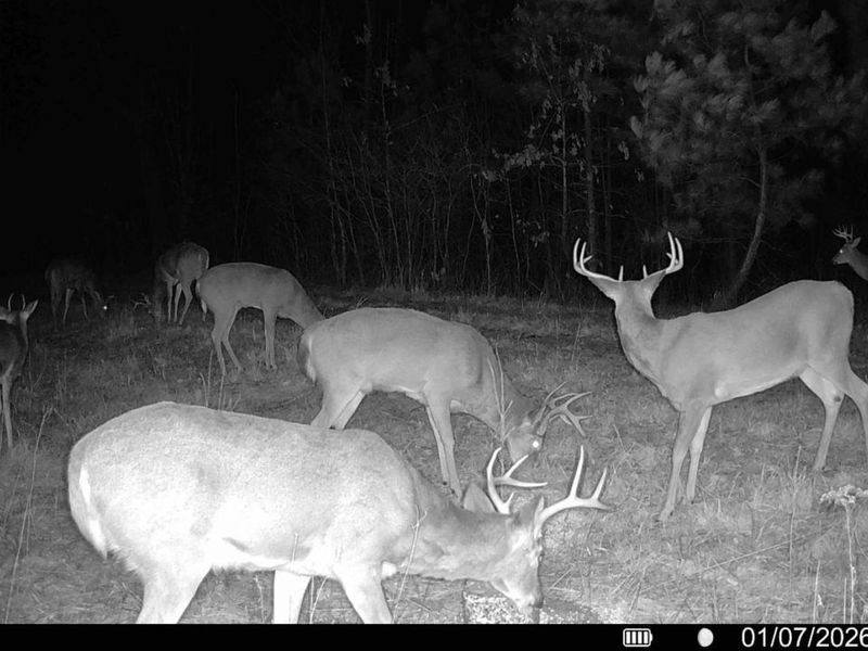 0 St Rt 348, Brushcreek Twp, OH 45657 Photo 23