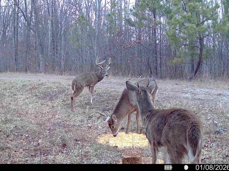 0 St Rt 348, Brushcreek Twp, OH 45657 Photo 24