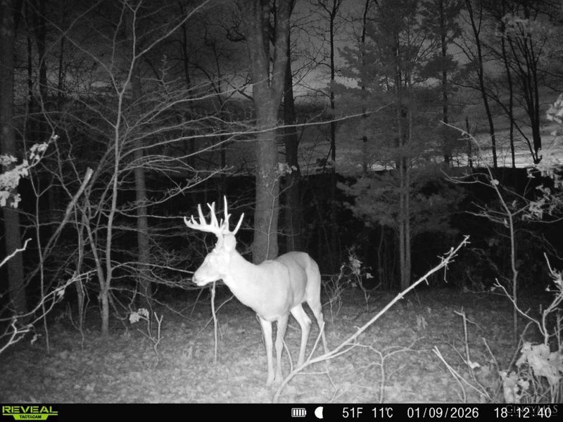 0 St Rt 348, Brushcreek Twp, OH 45657 Photo 25