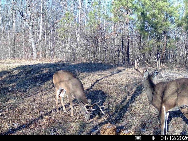 0 St Rt 348, Brushcreek Twp, OH 45657 Photo 26