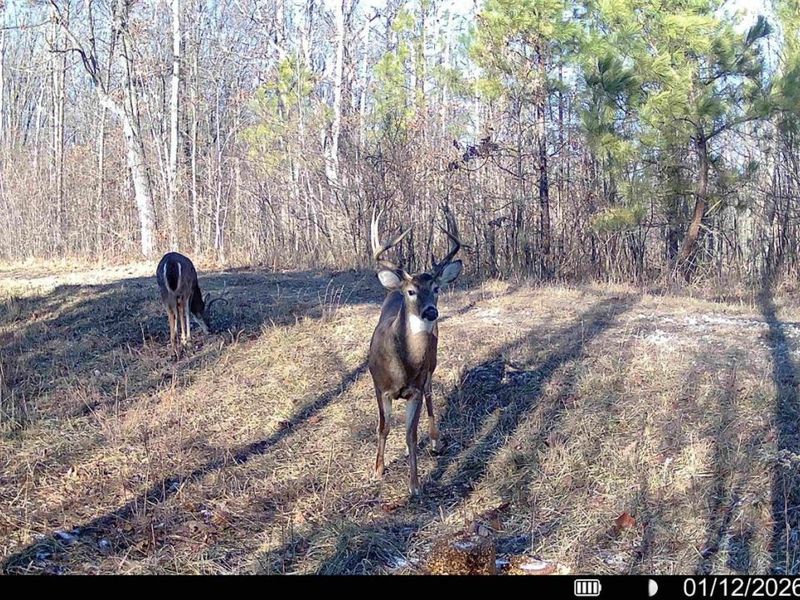 0 St Rt 348, Brushcreek Twp, OH 45657 Photo 27