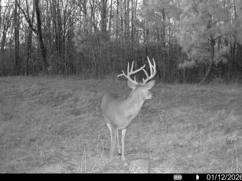 0 St Rt 348, Brushcreek Twp, OH 45657 Photo 28