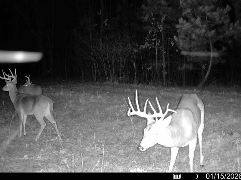 0 St Rt 348, Brushcreek Twp, OH 45657 Photo 29