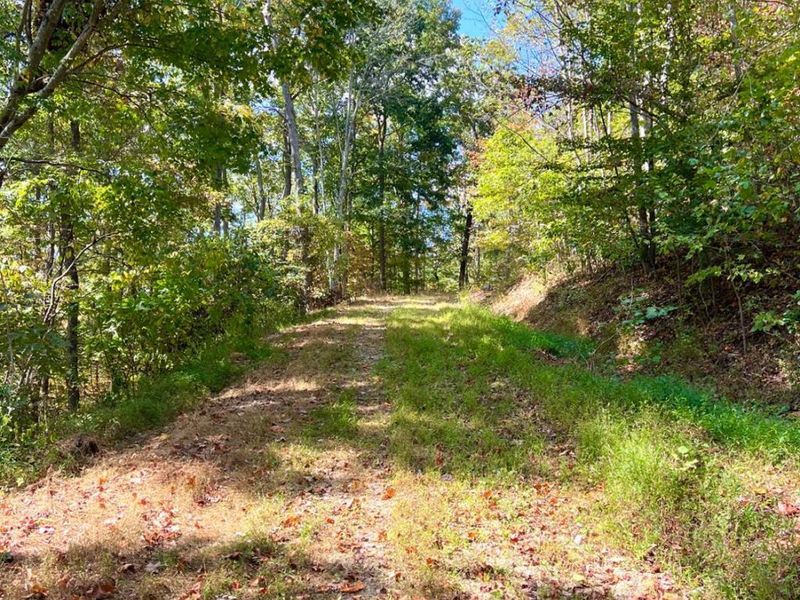 0 St Rt 348, Brushcreek Twp, OH 45657 Photo 3