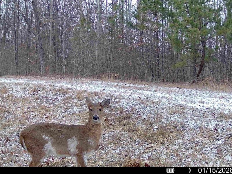 0 St Rt 348, Brushcreek Twp, OH 45657 Photo 30