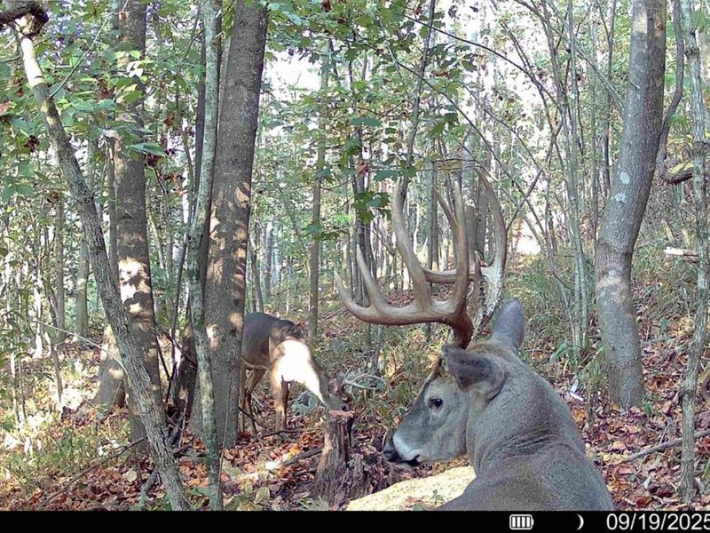 0 St Rt 348, Brushcreek Twp, OH 45657 Photo 32