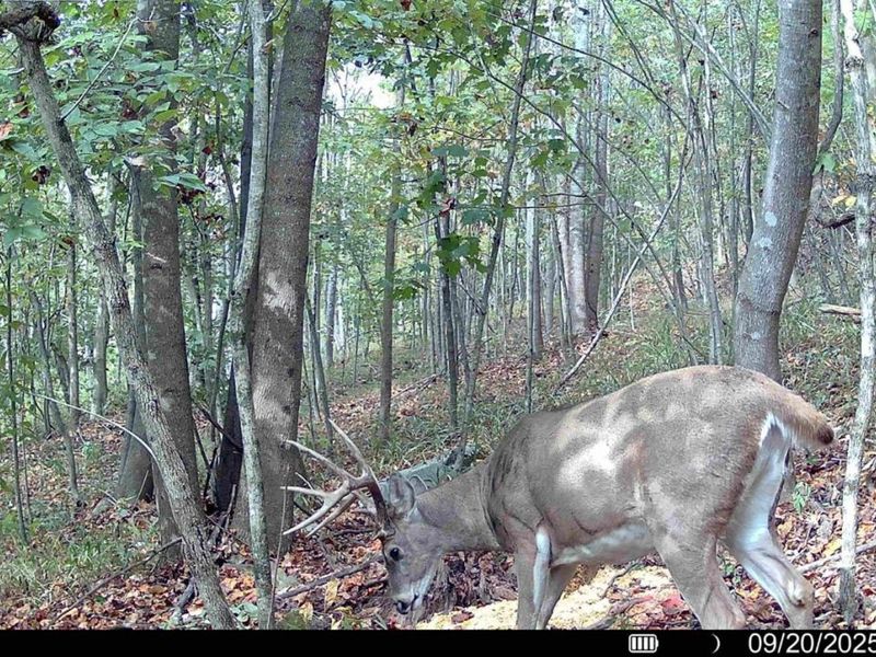 0 St Rt 348, Brushcreek Twp, OH 45657 Photo 33