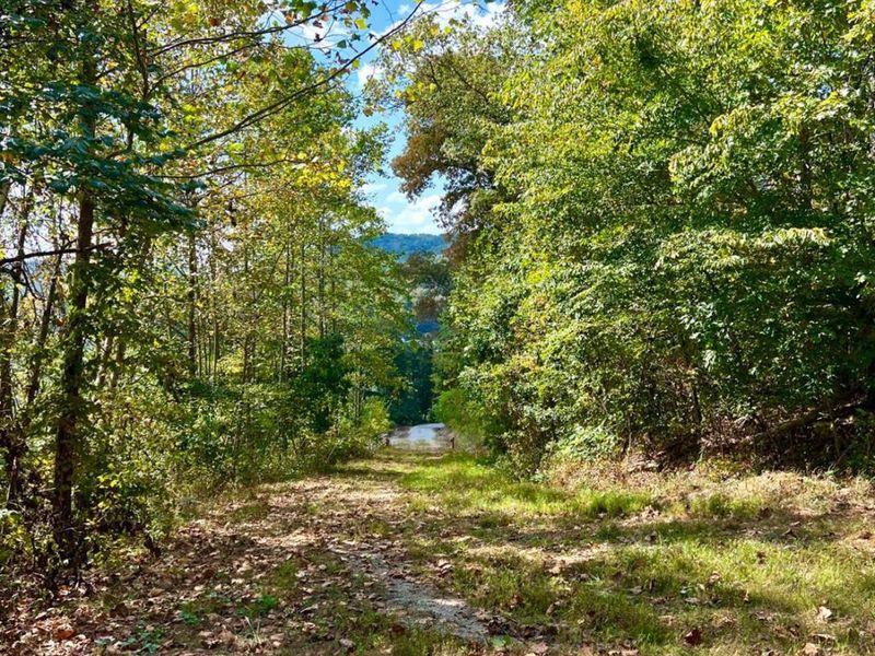 0 St Rt 348, Brushcreek Twp, OH 45657 Photo 35