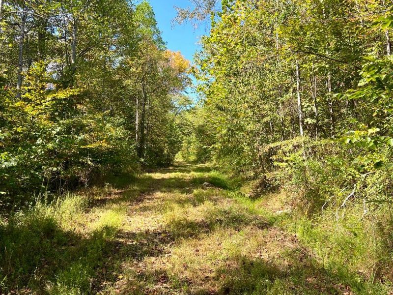 0 St Rt 348, Brushcreek Twp, OH 45657 Photo 40