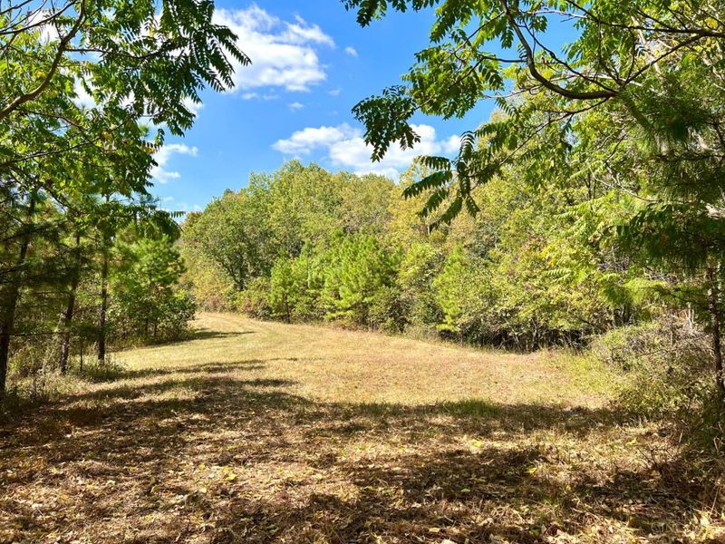 0 St Rt 348, Brushcreek Twp, OH 45657 Photo 44