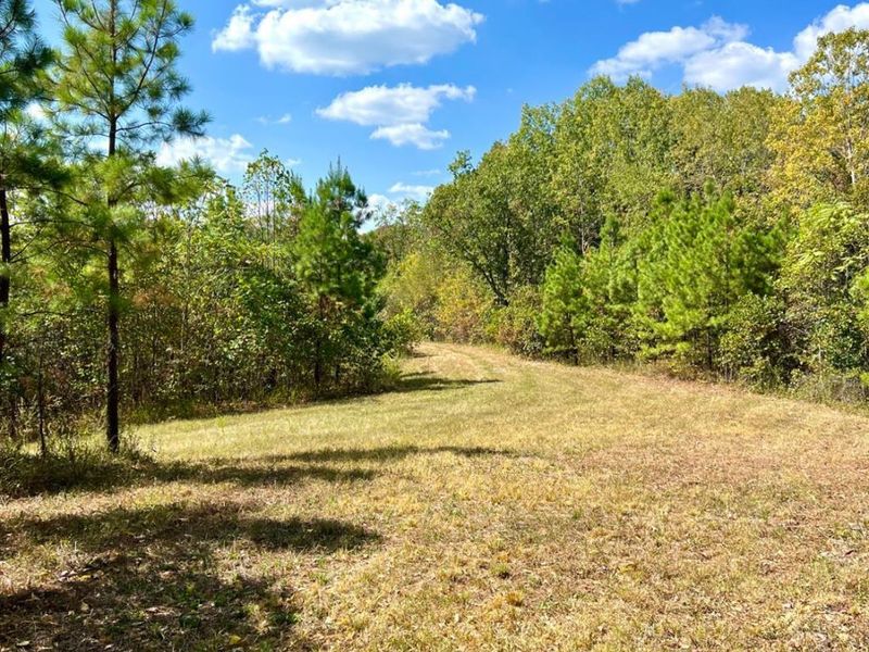 0 St Rt 348, Brushcreek Twp, OH 45657 Photo 45