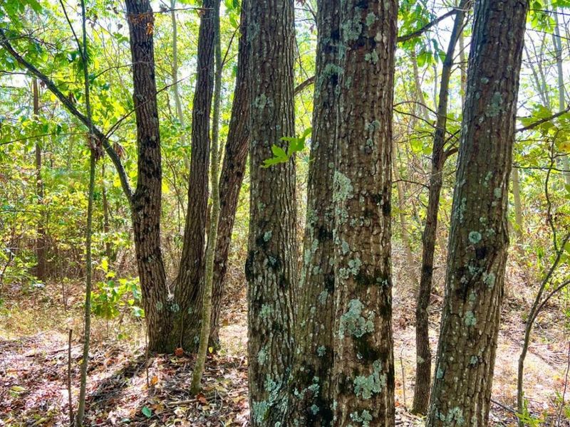 0 St Rt 348, Brushcreek Twp, OH 45657 Photo 46