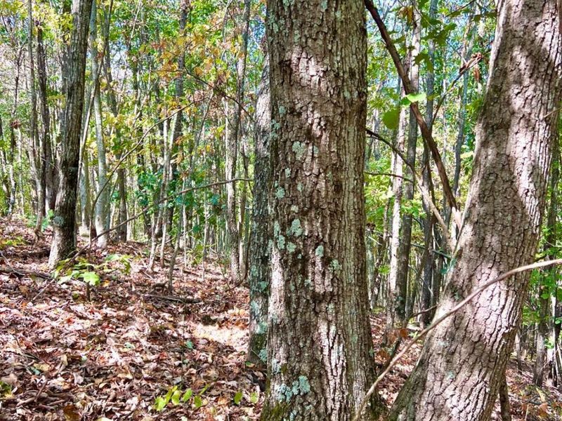 0 St Rt 348, Brushcreek Twp, OH 45657 Photo 47