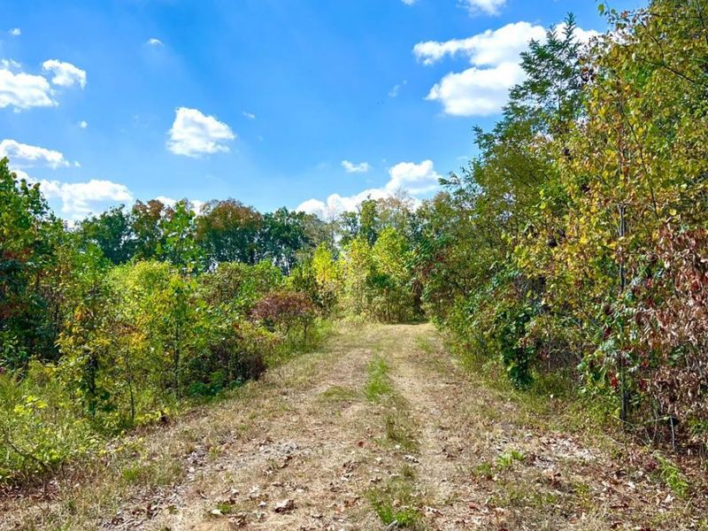 0 St Rt 348, Brushcreek Twp, OH 45657 Photo 50