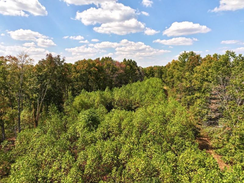 0 St Rt 348, Brushcreek Twp, OH 45657 Photo 51