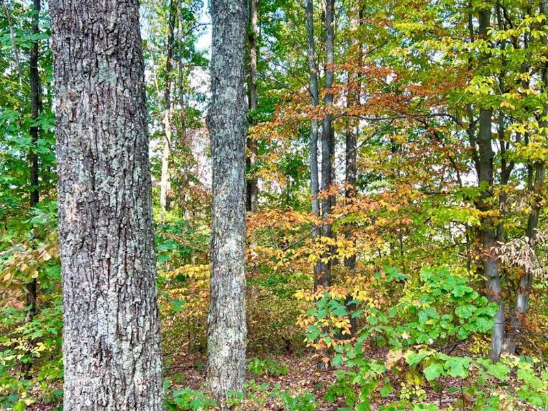 0 St Rt 348, Brushcreek Twp, OH 45657 Photo 54