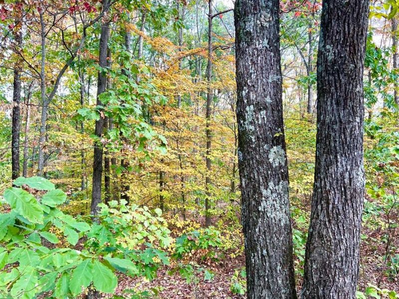 0 St Rt 348, Brushcreek Twp, OH 45657 Photo 55