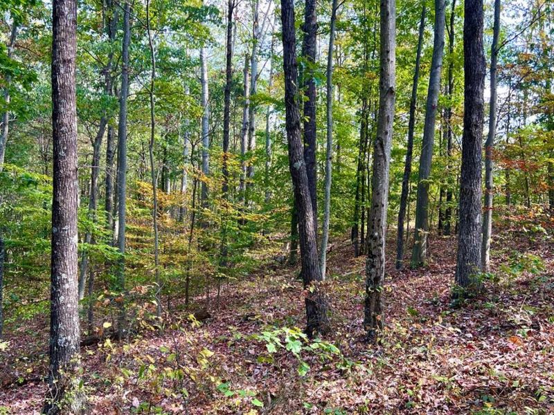 0 St Rt 348, Brushcreek Twp, OH 45657 Photo 60