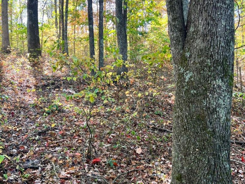 0 St Rt 348, Brushcreek Twp, OH 45657 Photo 62