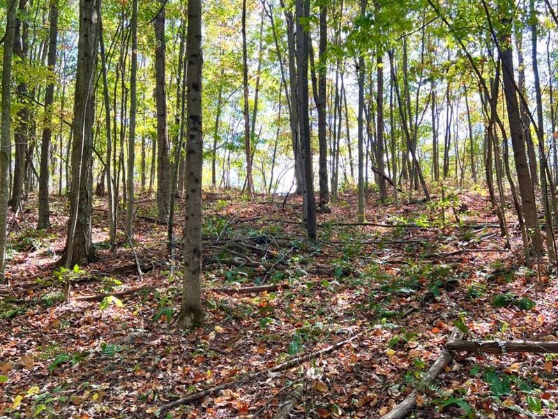 0 St Rt 348, Brushcreek Twp, OH 45657 Photo 67