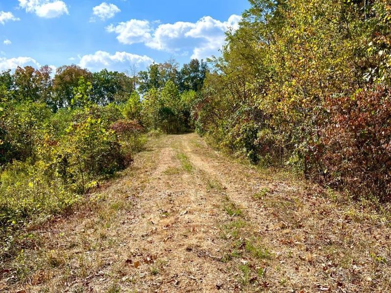 0 St Rt 348, Brushcreek Twp, OH 45657 Photo 69