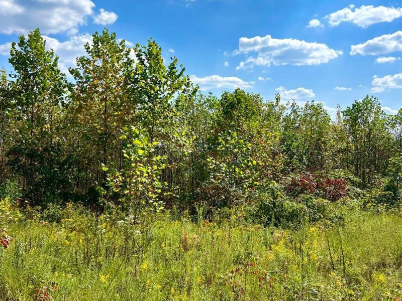 0 St Rt 348, Brushcreek Twp, OH 45657 Photo 70